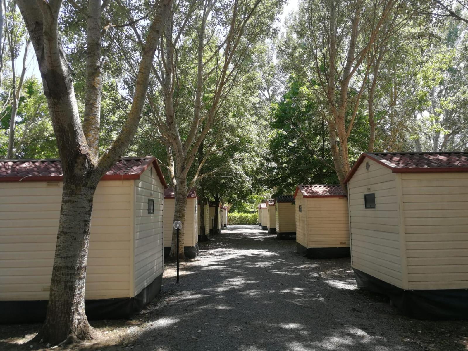 Bolsena Holiday House Bagian luar foto