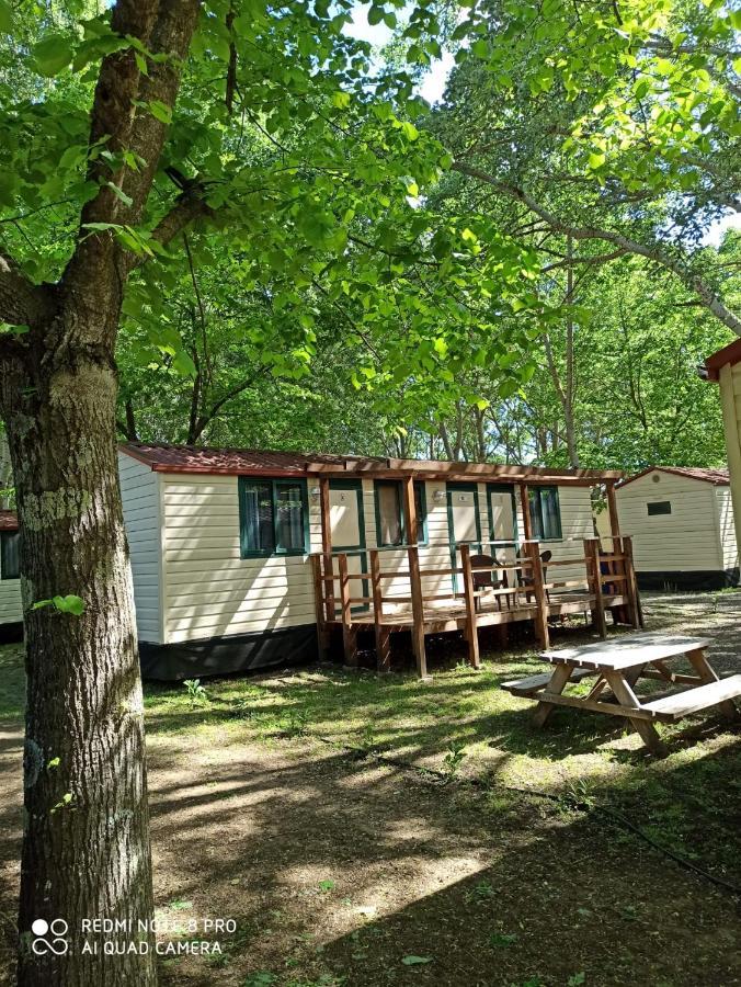 Bolsena Holiday House Bagian luar foto
